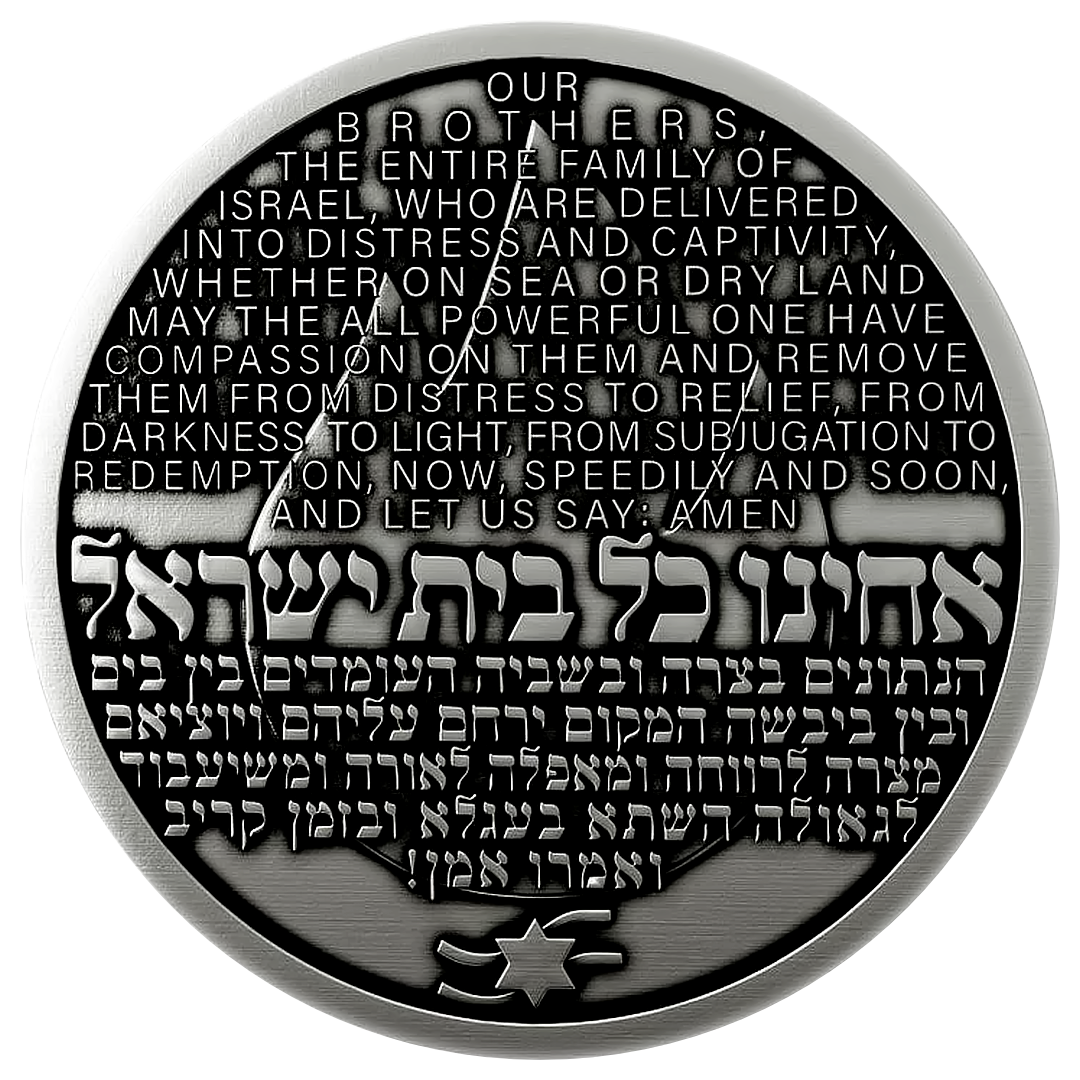 Operation Iron Swords Coin