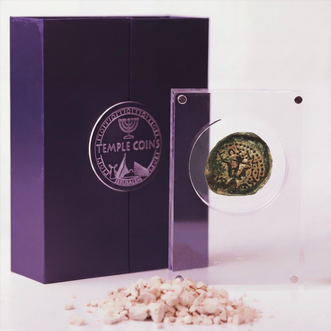 Bronze Widow's Mite prutah in a display case, anchor obverse facing up