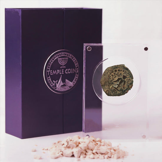 Bronze Widow's Mite prutah in a display case, anchor obverse facing up