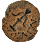 Specimen #161