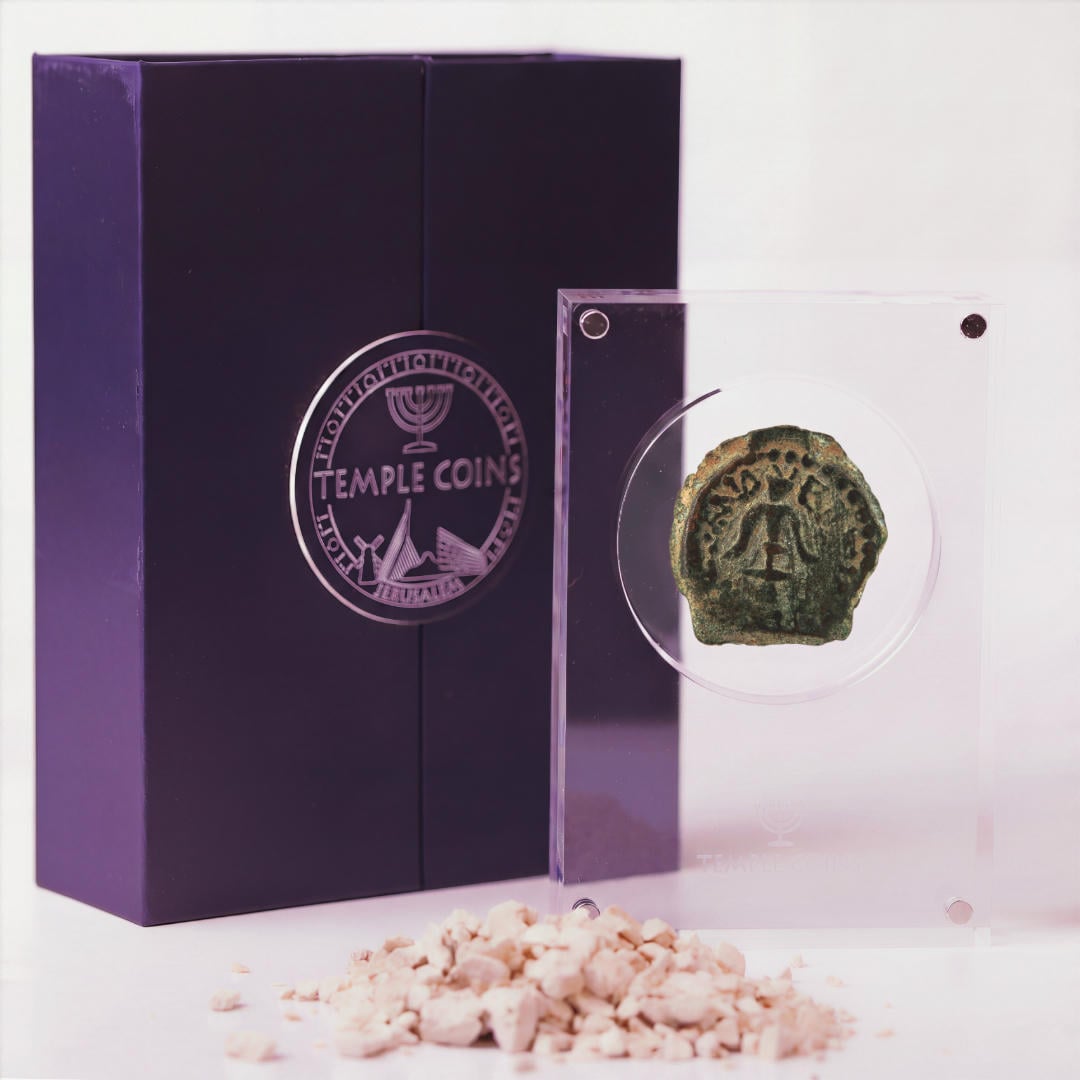 Bronze Widow's Mite prutah in a display case, anchor obverse facing up
