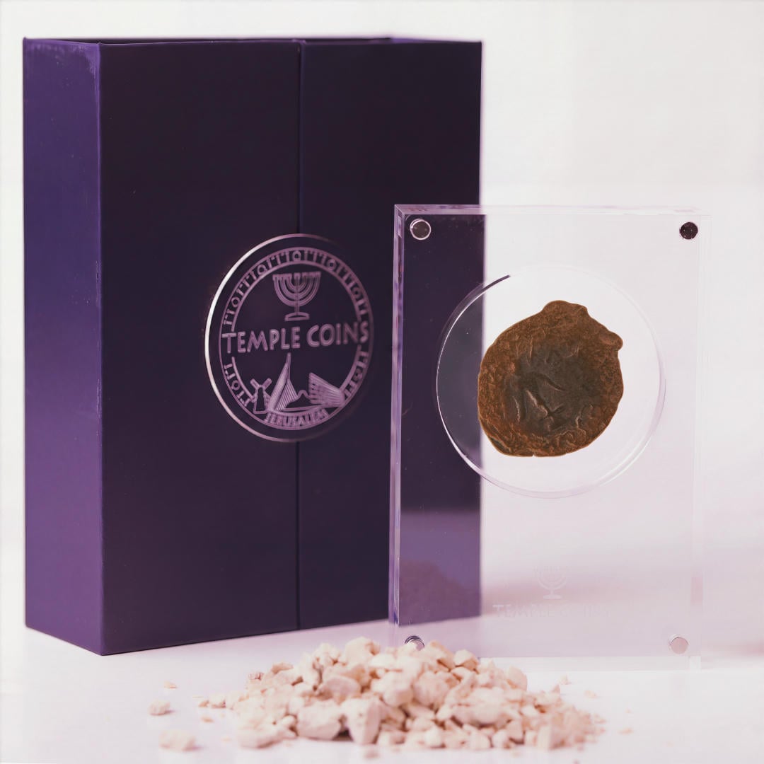 Bronze Widow's Mite prutah in a display case, anchor obverse facing up