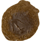 Specimen #164