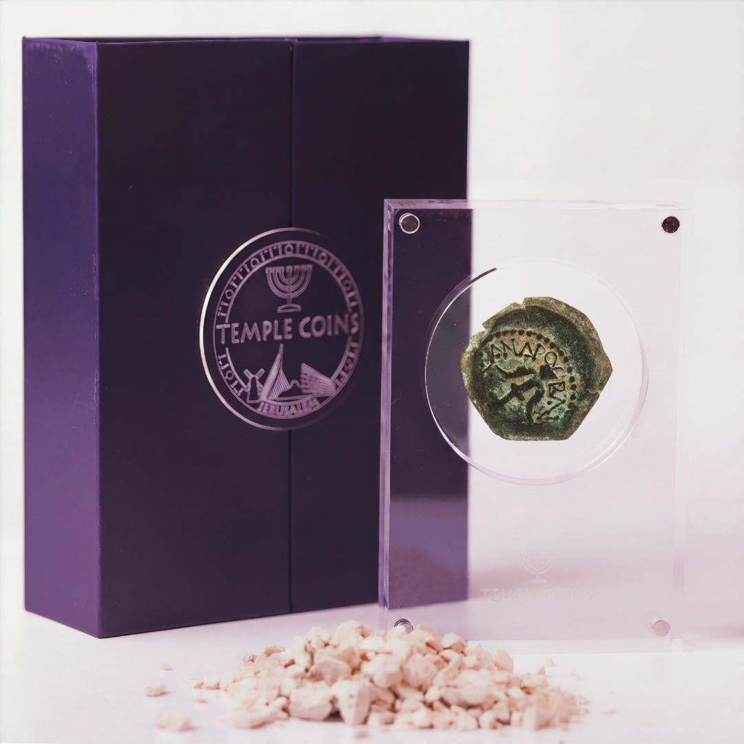 Bronze Widow's Mite prutah in a display case, anchor obverse facing up