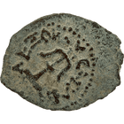 Specimen #176