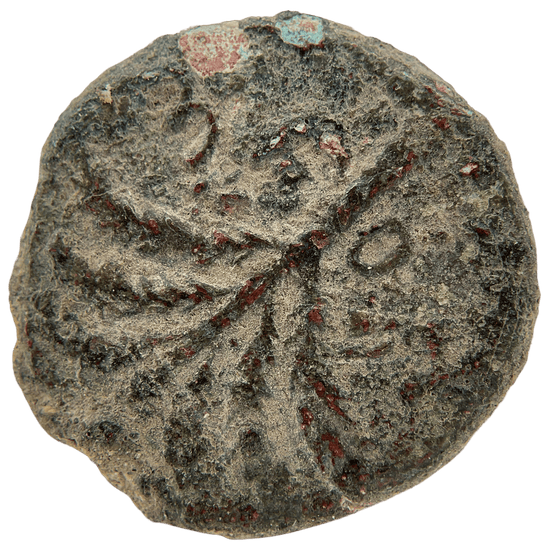 251