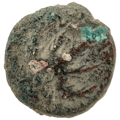 Simon bar Kokhba (Palm Tree and Vine Leaf) Bronze Dupondius reverse