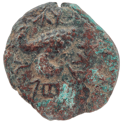 Simon bar Kokhba (Palm Tree and Grapes - Jerusalem) Bronze Issar reverse