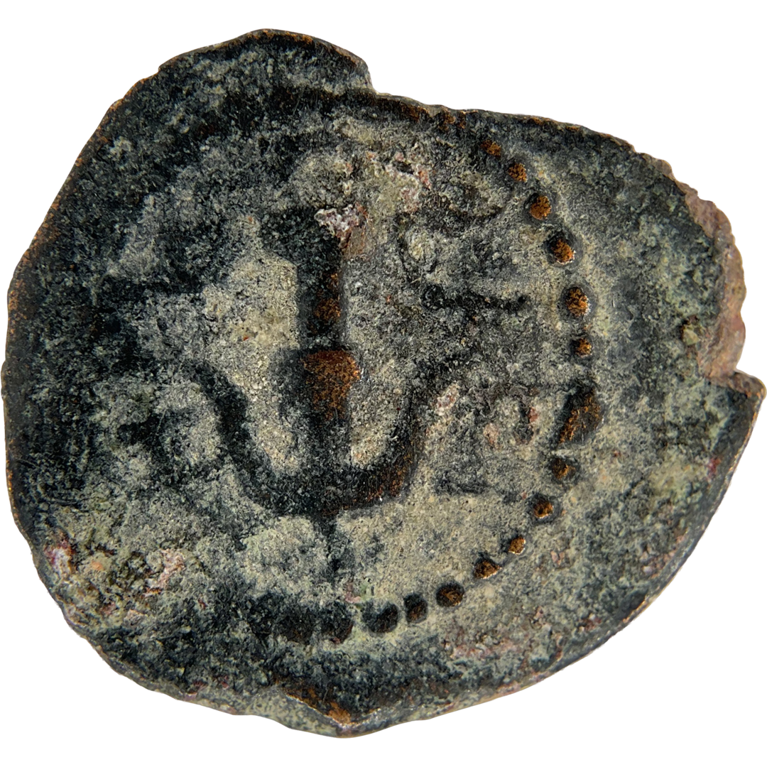 2026-03-16, temple-coins, herod the great, anchor and cornucopias, a, 80, reverse, isolated, 1080x1080, bf68fe4e.png