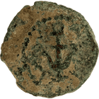 Specimen #81