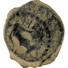 Specimen #82