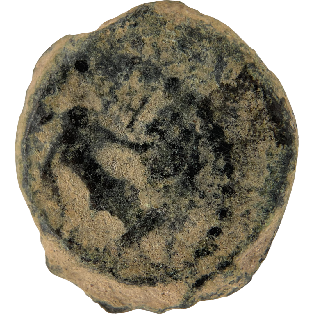 2026-03-16, temple-coins, herod the great, anchor and cornucopias, a, 82, obverse, isolated, 1080x1080, 3558d71e.png