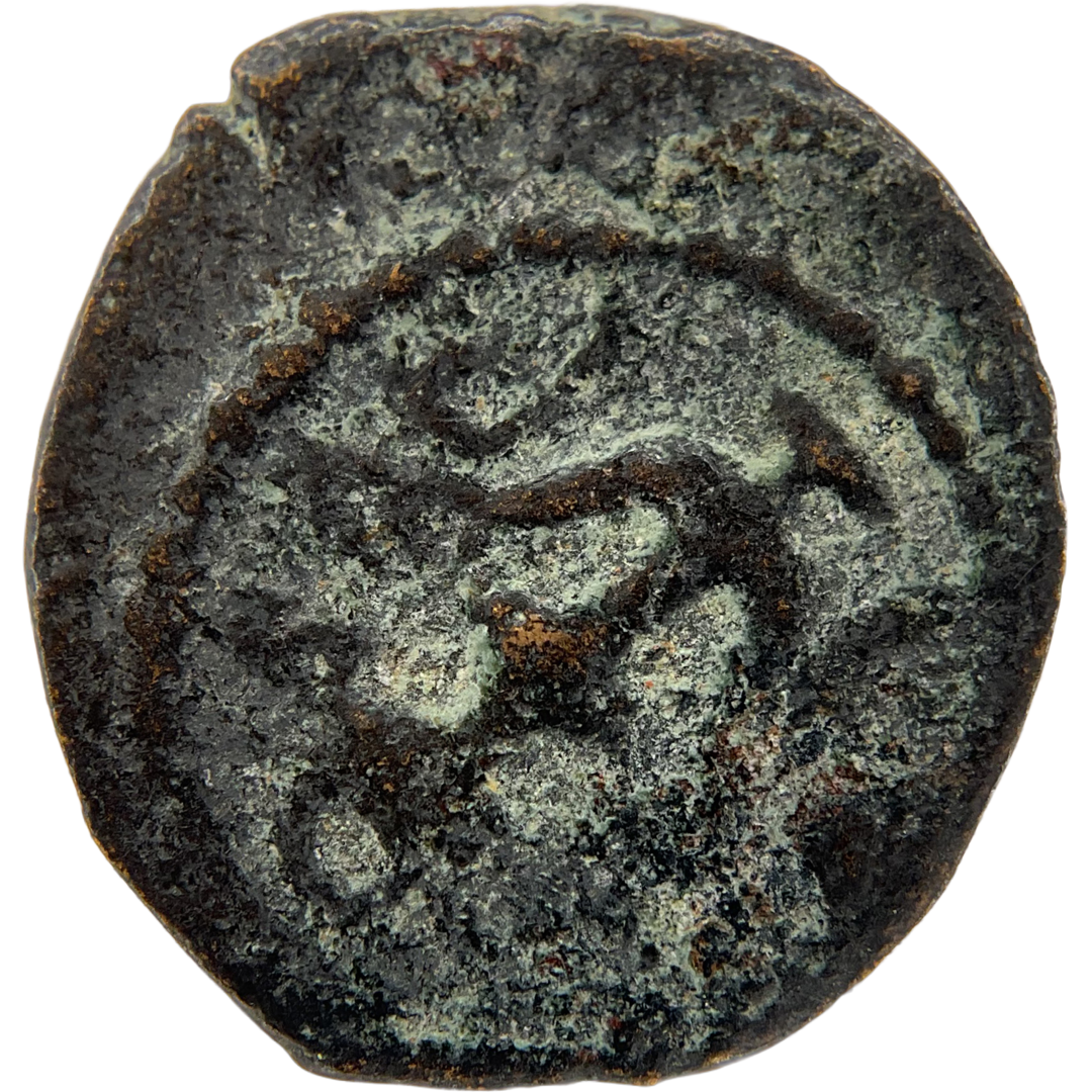 2026-03-16, temple-coins, herod the great, anchor and cornucopias, a, 86, obverse, isolated, 1080x1080, bf8d4dc4.png