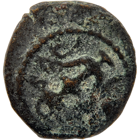 2026-03-16, temple-coins, herod the great, anchor and cornucopias, a, 86, obverse, isolated, 1080x1080, bf8d4dc4.png