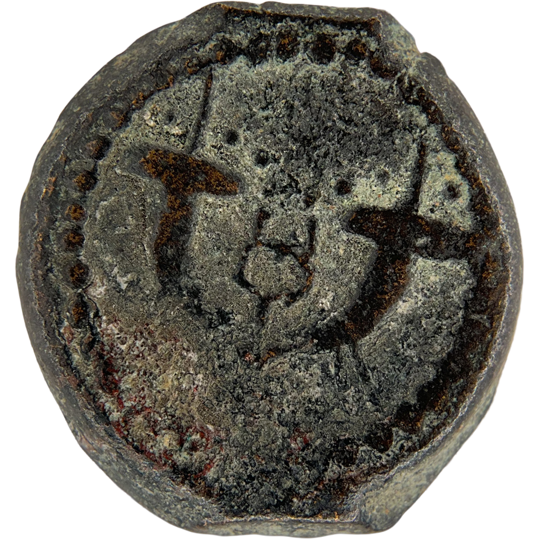 2026-03-16, temple-coins, herod the great, anchor and cornucopias, a, 86, reverse, isolated, 1080x1080, 3a73bad3.png