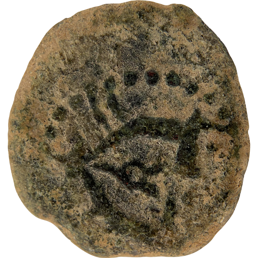 2026-03-16, temple-coins, herod the great, anchor and cornucopias, a, 87, reverse, isolated, 1080x1080, 67df0aca.png