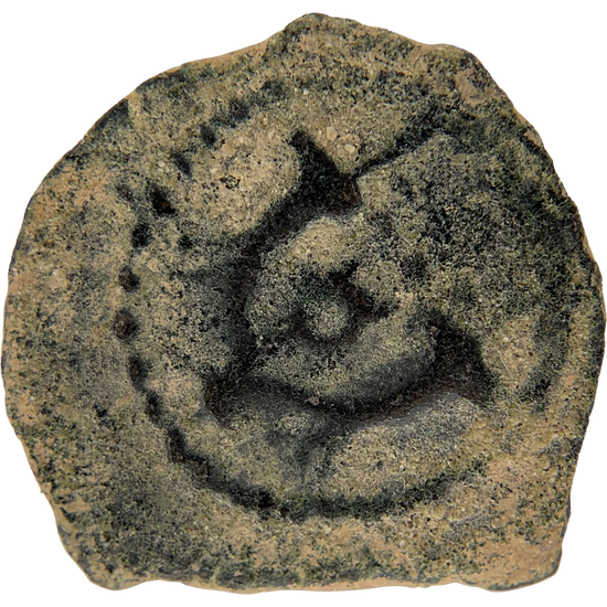 2026-03-16, temple-coins, herod the great, anchor and cornucopias, a, 89, reverse, isolated, 1080x1080, 78ee6439.png