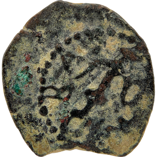 2026-03-16, temple-coins, herod the great, anchor and cornucopias, a, 90, obverse, isolated, 1080x1080, 531735d3.png