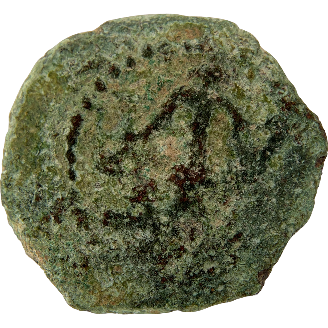 2026-03-16, temple-coins, herod the great, anchor and cornucopias, b, 101, obverse, isolated, 1080x1080, 61d6e918.png