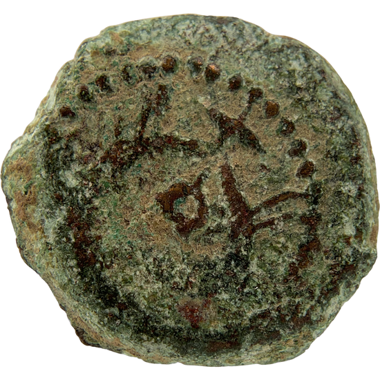 2026-03-16, temple-coins, herod the great, anchor and cornucopias, b, 101, reverse, isolated, 1080x1080, 2f79772b.png