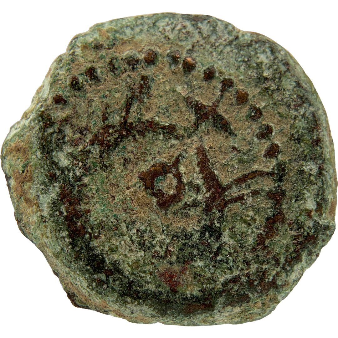 2026-03-16, temple-coins, herod the great, anchor and cornucopias, b, 101, reverse, isolated, 1080x1080, 2f79772b.png