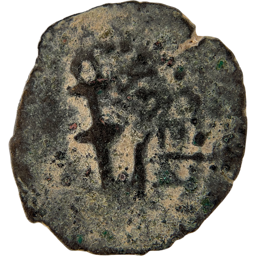 2026-03-16, temple-coins, herod the great, anchor and cornucopias, b, 103, obverse, isolated, 1080x1080, 105f235e.png