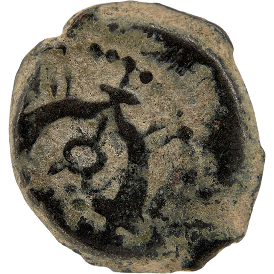 2026-03-16, temple-coins, herod the great, anchor and cornucopias, b, 103, reverse, isolated, 1080x1080, 7c70fd3e.png