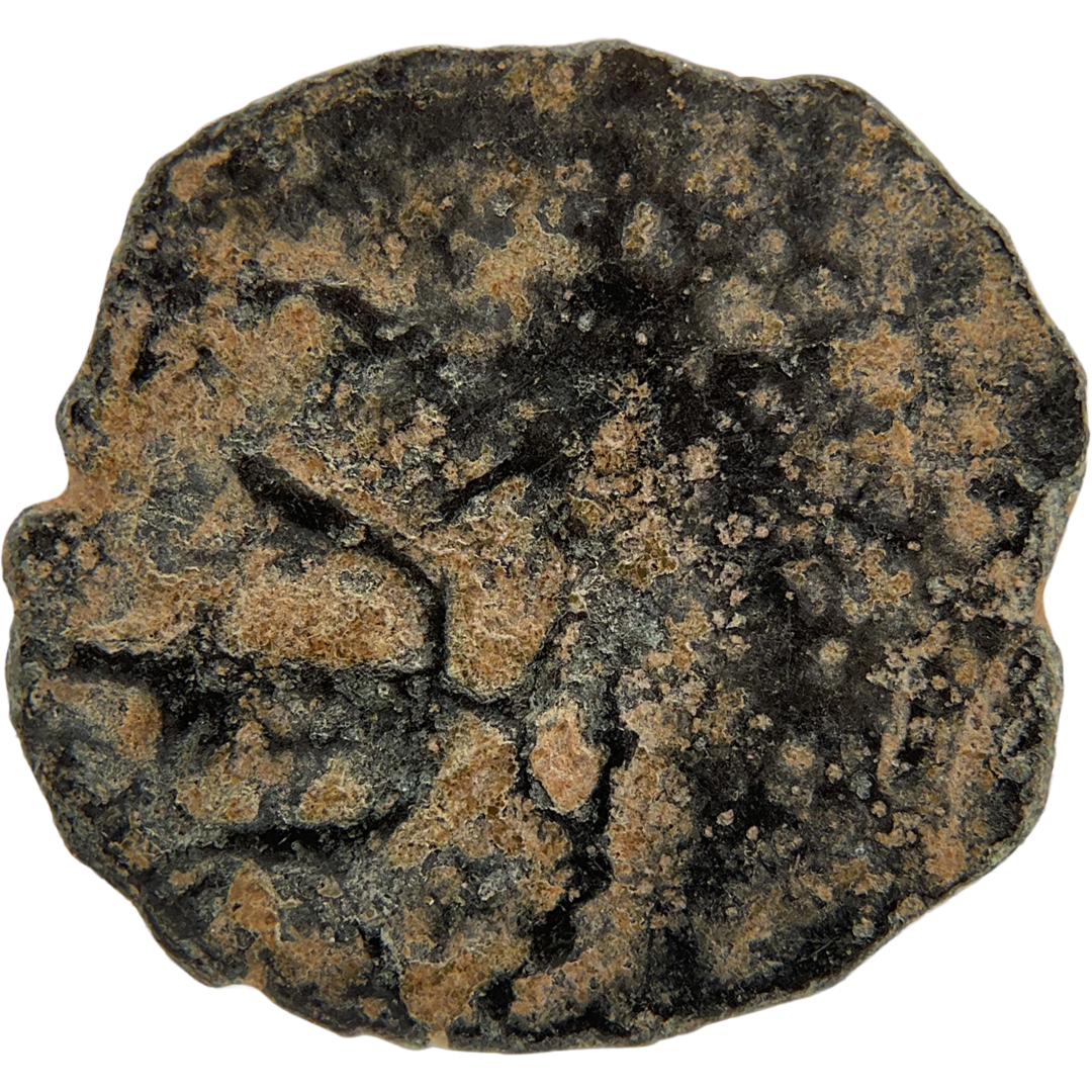 2026-03-16, temple-coins, herod the great, anchor and cornucopias, b, 107, obverse, isolated, 1080x1080, 09dfff68.png