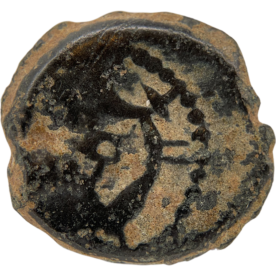 2026-03-16, temple-coins, herod the great, anchor and cornucopias, b, 107, reverse, isolated, 1080x1080, 7f784d70.png