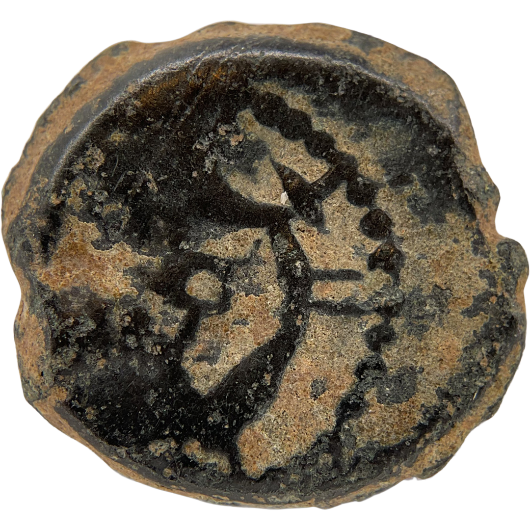 2026-03-16, temple-coins, herod the great, anchor and cornucopias, b, 107, reverse, isolated, 1080x1080, 7f784d70.png