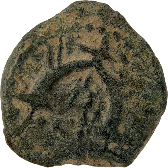 2026-03-16, temple-coins, herod the great, anchor and cornucopias, b, 108, reverse, isolated, 1080x1080, fda3a6a6.png