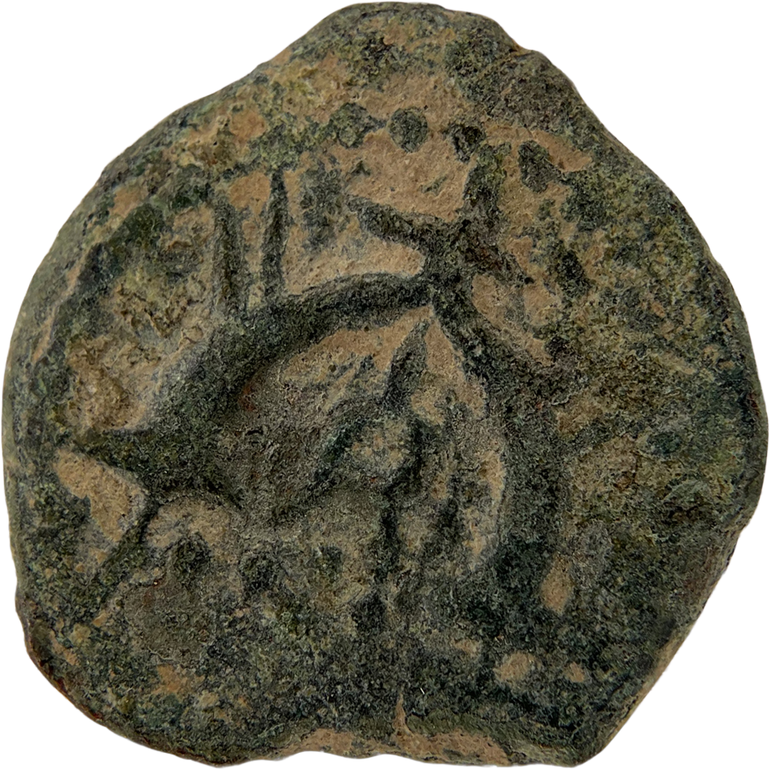 2026-03-16, temple-coins, herod the great, anchor and cornucopias, b, 108, reverse, isolated, 1080x1080, fda3a6a6.png