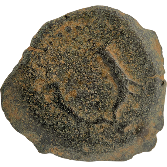 2026-03-16, temple-coins, herod the great, anchor and cornucopias, b, 109, reverse, isolated, 1080x1080, 35e5308c.png