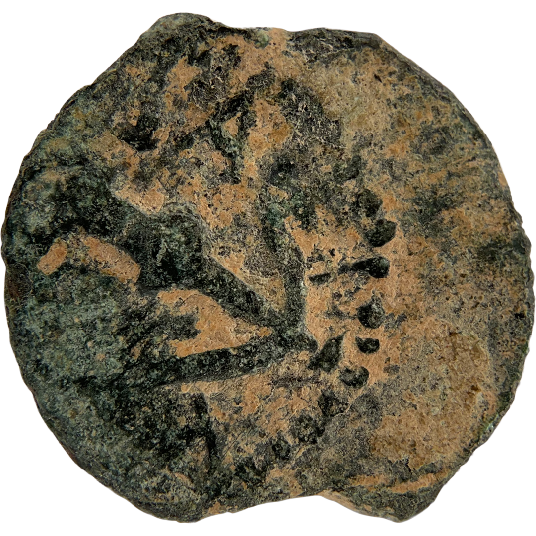 2026-03-16, temple-coins, herod the great, anchor and cornucopias, b, 97, obverse, isolated, 1080x1080, c743e18a.png
