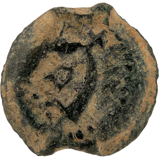 2026-03-16, temple-coins, herod the great, anchor and cornucopias, b, 97, reverse, isolated, 1080x1080, baa58736.png