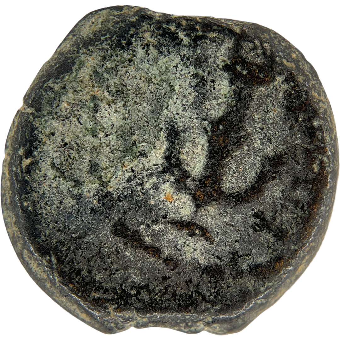 2026-03-16, temple-coins, herod the great, anchor and cornucopias, b, 98, obverse, isolated, 1080x1080, 4fe17905.png