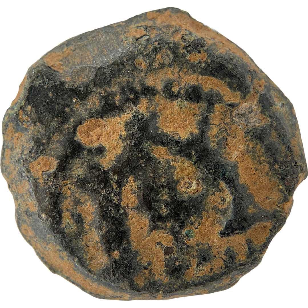 2026-03-16, temple-coins, herod the great, anchor and cornucopias, b, 99, reverse, isolated, 1080x1080, 4cd64137.png