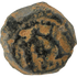 2026-03-16, temple-coins, herod the great, anchor and cornucopias, b, 99, reverse, isolated, 1080x1080, 4cd64137.png