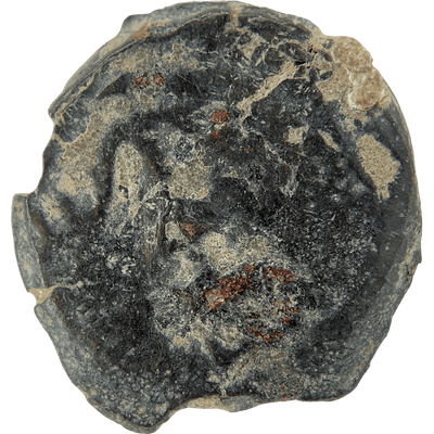 Herod the Great (Anchor and Cornucopias) Bronze Prutah