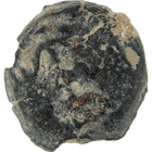 Specimen #66
