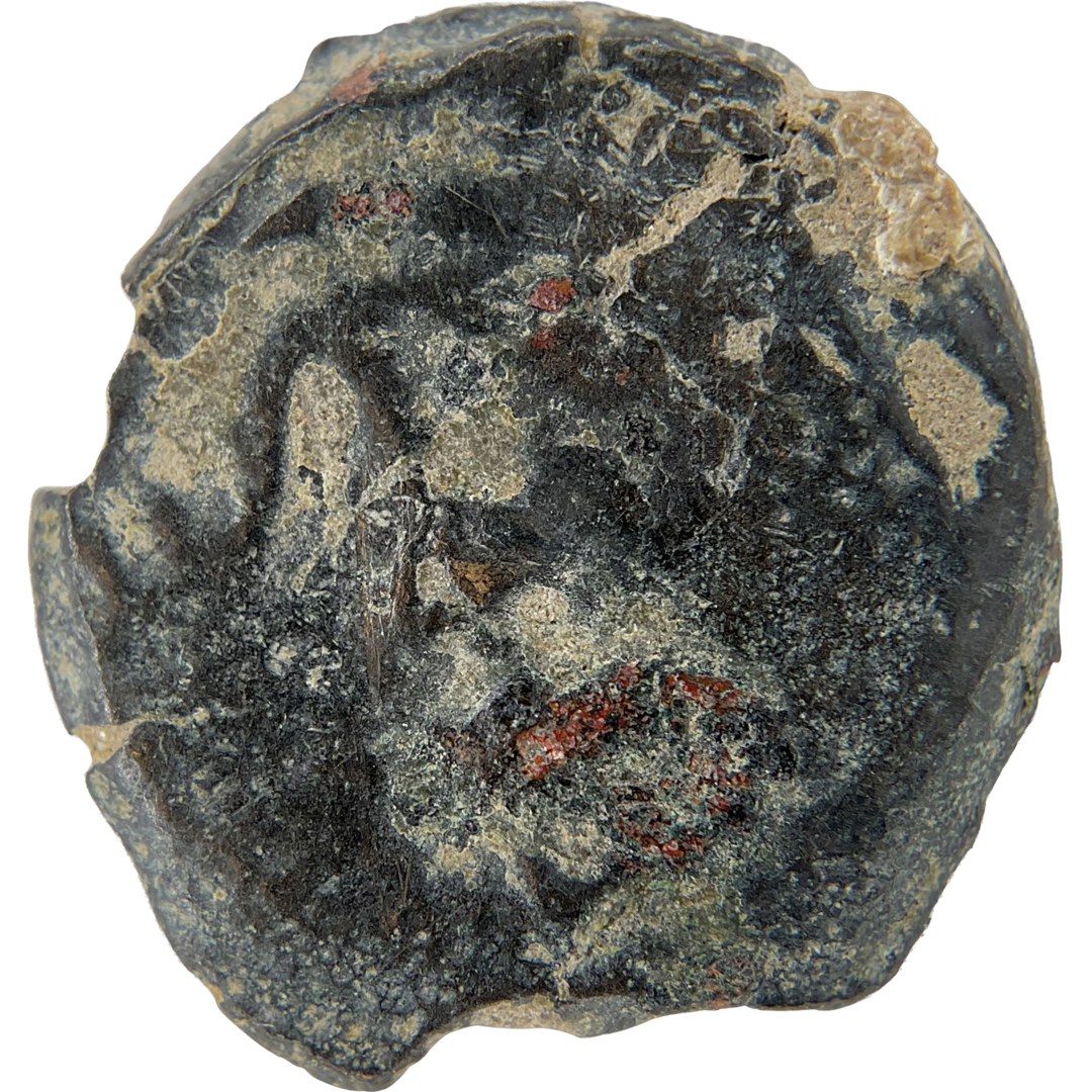 2026-03-16, temple-coins, herod the great, anchor and cornucopias, c, 66, obverse, isolated, 1080x1080, dcf8ba37.png