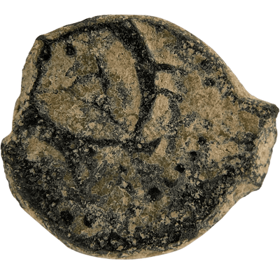 Herod the Great (Anchor and Cornucopias) Bronze Prutah reverse