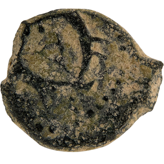 2026-03-16, temple-coins, herod the great, anchor and cornucopias, c, 67, reverse, isolated, 1080x1080, bee8c682.png