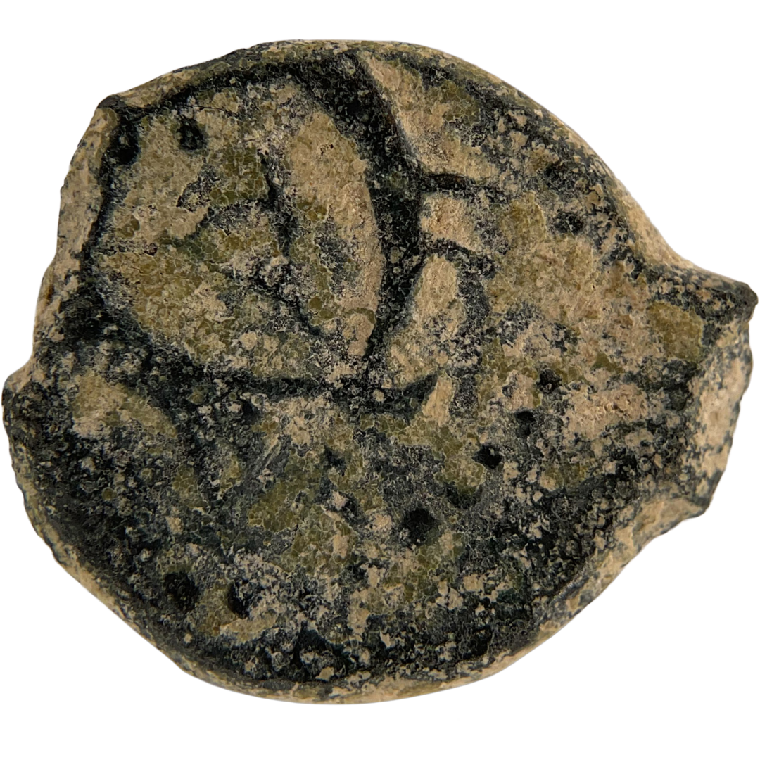 2026-03-16, temple-coins, herod the great, anchor and cornucopias, c, 67, reverse, isolated, 1080x1080, bee8c682.png