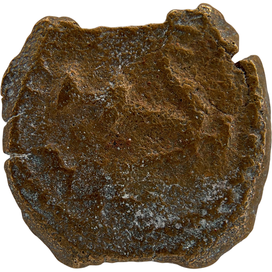 2026-03-16, temple-coins, herod the great, anchor and cornucopias, c, 69, obverse, isolated, 1080x1080, 1c2c321d.png
