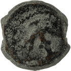 Specimen #71