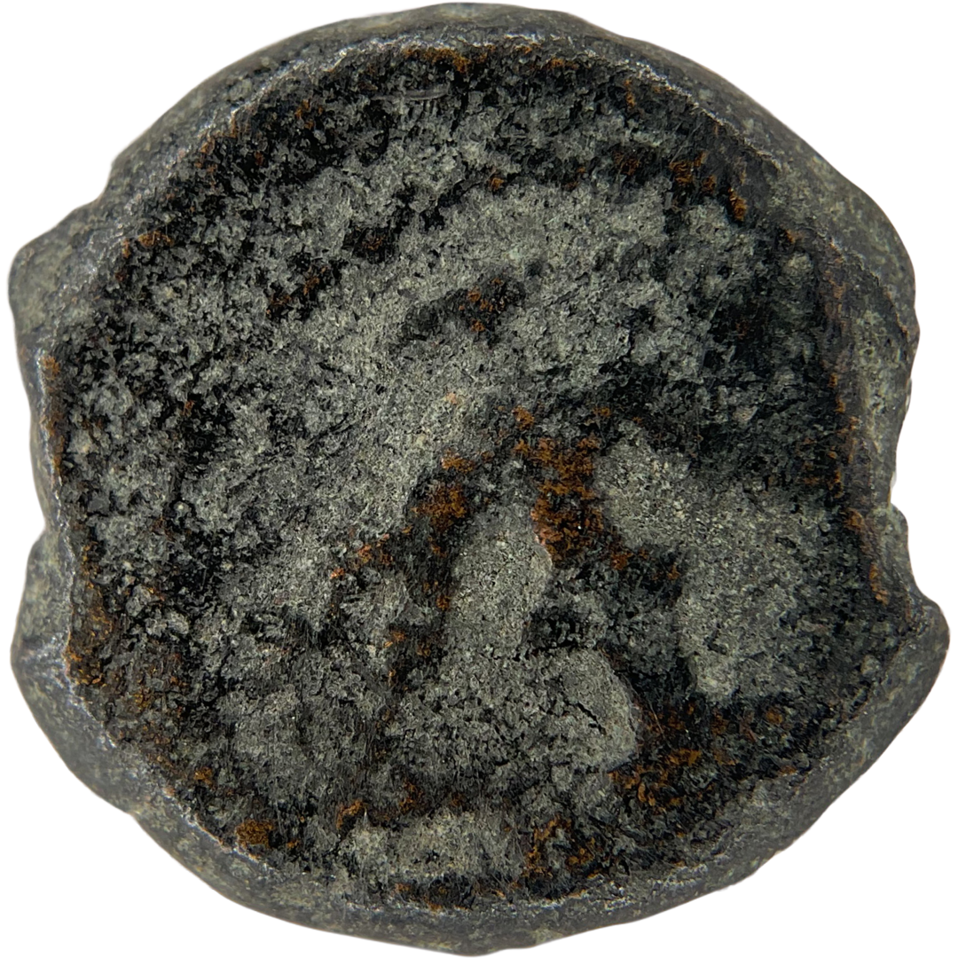 2026-03-16, temple-coins, herod the great, anchor and cornucopias, c, 71, obverse, isolated, 1080x1080, 205324a7.png