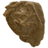 Obverse of bronze Herod the Great prutah, showing a royal diadem