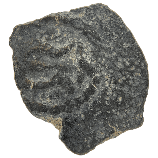 Obverse of bronze Herod the Great prutah, showing a royal diadem