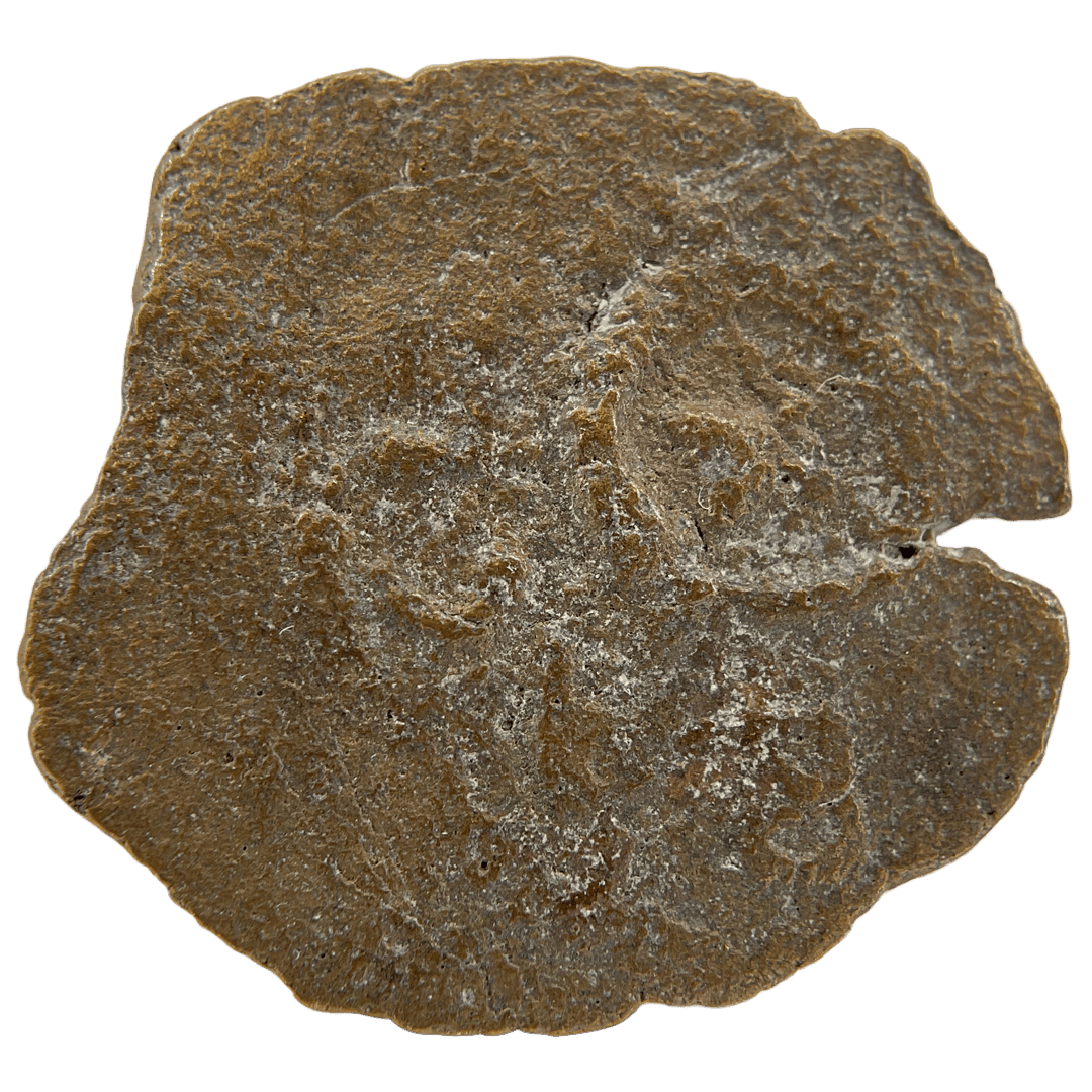 Reverse of bronze Herod the Great prutah, showing a three-legged Temple table